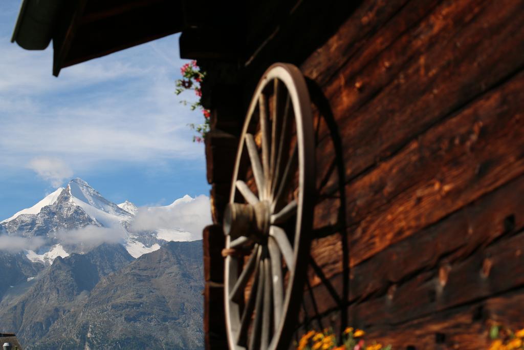 Haus Bel-Air Daire Grächen Oda fotoğraf